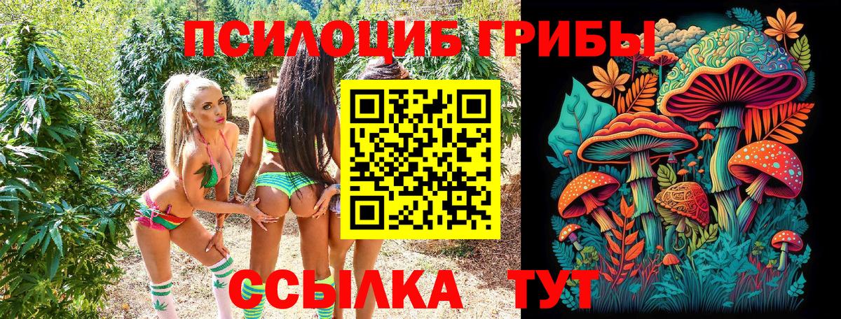 Псилоцибиновые грибы GOLDEN TEACHER Шатура