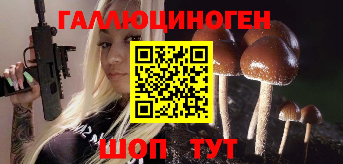 Шатура  Псилоцибиновые грибы GOLDEN TEACHER  Вход с VPN 