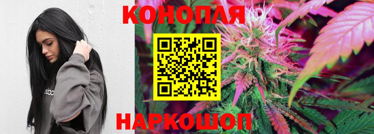 Канабис конопля  Марихуана гибрид  Шатура  Канабис планчик  Вход с VPN  Бошки марихуана VHQ 